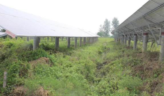 涉案光伏發(fā)電站電纜損壞原因鑒定(圖1) 光伏發(fā)電站